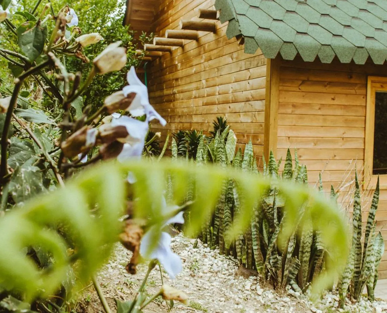 Camping Casita de Madera Glamping - Cabaña - Chalet Guarne
